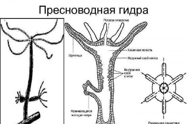 Почему не могу зайти на кракен