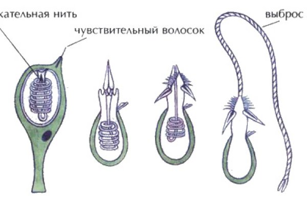 Кракен маркетплейс официальный сайт